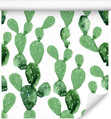 Produktbild von 10m VLIES TAPETE Rolle Blumen Kakteen Aquarell XXL