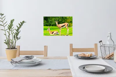 Produktbild von MuchoWow® - Wierderverwendbar - Selbstklebend