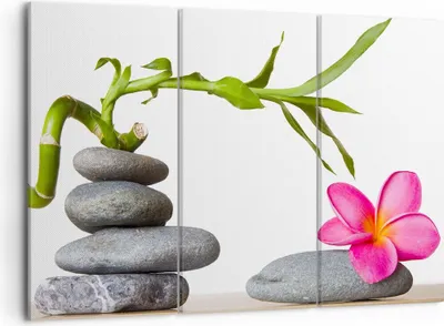 Produktbild von Bild auf Leinwand - Leinwandbild - Ruhig blume dekoration stein - 105x70cm - Wand Bild - Wanddeko - Leinwanddruck - Bilder - Kunstdruck - Wanddekoration - Leinwand bilder - Wandkunst - CE105x70-2305