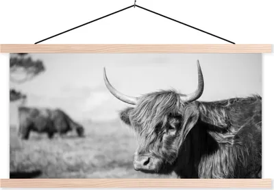 Produktbild von MuchoWow® Textilposter Schottisches Hochlandrind - Tiere - Schwarz - Weiß 120x60 cm mit holzfarbenen Rahmen - Klemmleiste