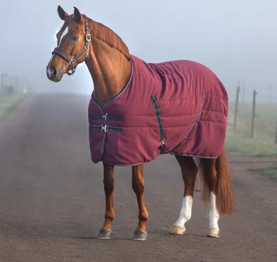Produktbild von Horseware Rambo Stable Rug 100g - Burgundy/Burgundy