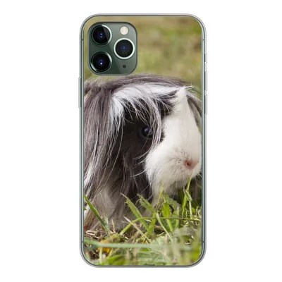Produktbild von MuchoWow® Handyhülle Schutzhülle Hülle für iPhone 11 Pro Langhaar-Meerschweinchen Silikon Softcase Handy Hülle - Handy