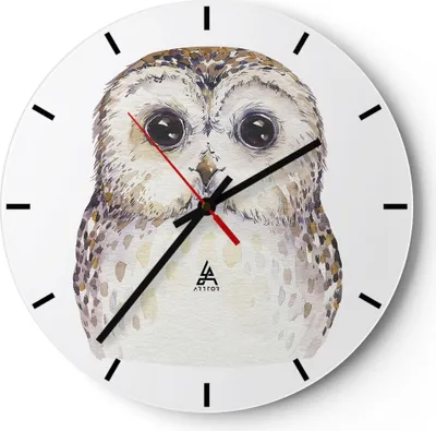 Produktbild von Wanduhr - Rund - Glasuhr - Eule Waldkauz Grafik - 40x40cm - Schleichendes Uhrwerk - Lautlos - zum Aufhängen bereit - Dekoration Modern - Wanddekoration aus Glas - C3AR40x40-4229