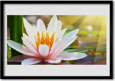 Produktbild von Bild 100x70 MDF-Rahmen Wandkunst Blumen Pflanzen Natur
