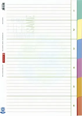 Produktbild von Brunnen Ordnerregister Vollformat blanko DIN A4