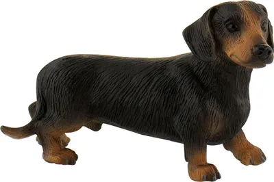 Image de Bullyland Animal World Figurine d'Apollon à poil court 8 cm