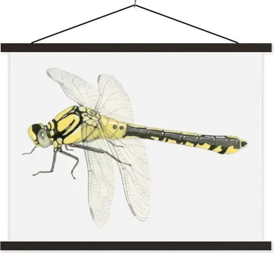 Produktbild von MuchoWow® Textilposter Eine Illustration einer gelben Libelle auf einem weißen Hintergrund 40x30 cm mit schwarzem Rahmen - Dekorationen