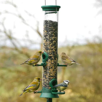 Produktbild von CJ Wildlife Futtersäule Vögel - Vogelfuttersäule Grün Metall