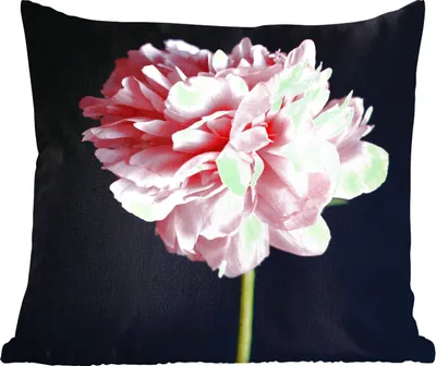 Produktbild von MuchoWow® Zierkissen Sofakissen Wohnzimmer Dekokissen 40x40 cm Rosa Pfingstrose in Blüte - Foto Kissen - Schlafzimmer Dekoration