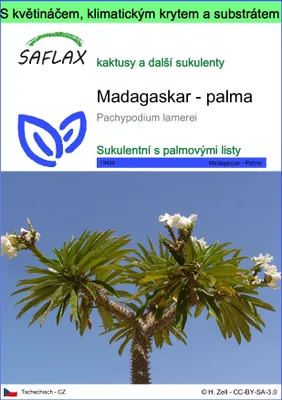 Obrázek produktu pro SAFLAX Garden to go - Madagaskar - palma - Pachypodium lamerei - 10 Semena - S květináčem, klimatickou poklicí a pěstebním substrátem