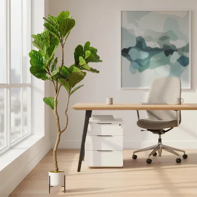Productafbeelding van GarveeLife Kunstgeitenstruik 100/115/150/155 cm | Kunstplant Ficus L