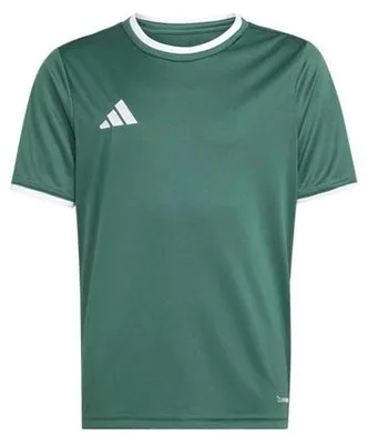 Zdjęcie produktu dla Koszulka adidas Junior Entrada 26 KE9834 176