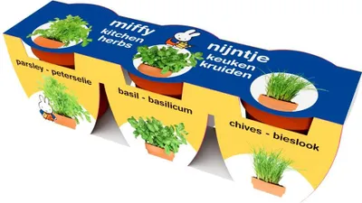 Produktbild von Nijntje Kräuter Terracota Set XL - Lernspielzeug für Kinder