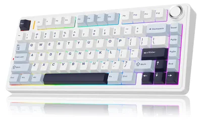 Productafbeelding van Mechanisch Toetsenbord 75% Lay-Out - Wit Blauw - RGB Verlichting - Hot-Swappable - Draadloos En Bedraad - Gaming Keyboard