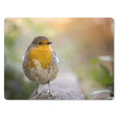 Produktbild von MuchoWow® Mauspad Mousepad Vögel - Rotkehlchen - Baum 23x19 cm - Mousepads - Maus Mat - Pad - Mausunterlage - Schreibtischunterlage - Mauspad