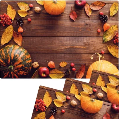 Produktbild von Abwaschbare Tischsets 4er Set Herbst Obst Kürbisse