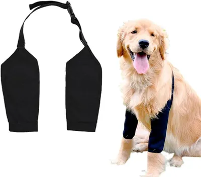 Imagen del producto de Vendaje para patas delanteras de perros, con protección acolchada para los codos, ajustable para perros grandes