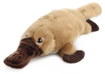 Productafbeelding van Pluche Platypus Knuffel - 35 cm