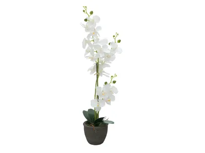 Obrázek produktu pro Europalms Orchidee Kunstpflanze weiss 80cm 82530362