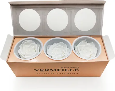 Produktbild von Stabilisierte Rose - Prinzessinnenweiß - XL - 3 Stk