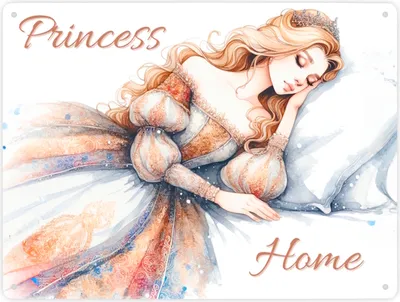 Produktbild von Schlafende Prinzessin Metallschild XXL in 28x38 cm mit Spruch Princess Home