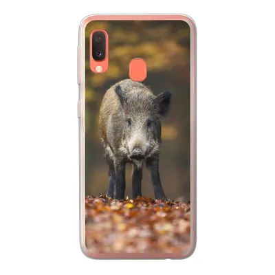 Produktbild von MuchoWow® Handyhülle Schutzhülle Hülle für Samsung Galaxy A20e Wildtier - Wald - Herbst Silikon Softcase Handy Hülle - Abdeckung