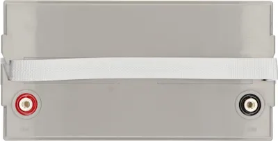 Immagine prodotto di Yanec -Gel -Batteria 12V 100AH