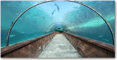 Produktbild von Tulup Glas-Bild -140x70- Wandkunst Dekorative Wand für Küche & Wohnzimmer - Sehenswürdigkeiten & Architektur - Aquarium - Blau