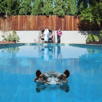 Zdjęcie produktu dla Sparks - Hippopotamus (Limited Edition) (2 LP)