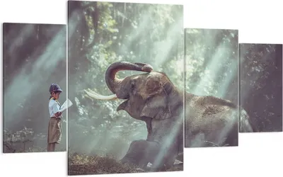 Produktbild von Bild auf Leinwand - Leinwandbild - Elefant Dschungel Stoßzahn - 160x90cm - Wand Bild - Wanddeko - Leinwanddruck - Bilder - Kunstdruck - Wanddekoration - Leinwand bilder - Wandkunst - DL160x90-3486