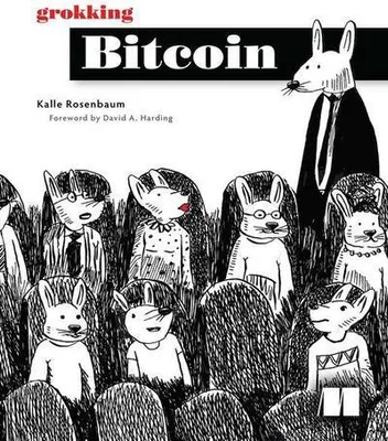 Obrázek produktu pro Grokking Bitcoin