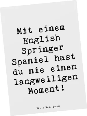 Produktbild von Mr. & Mrs. Panda Ansichtskarte Spruch English Springer Spaniel Spaß - Weiß - Geschenk, Hundeliebhaber, Ansichtskarten, Unterhaltung, unvergessliche Momente, Hunderassen