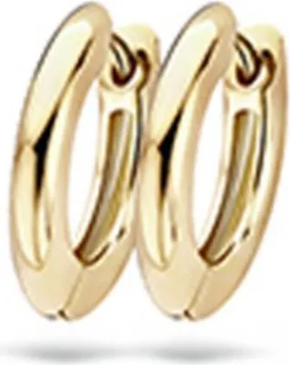 Produktbild von Creolen 10 mm - Gelbgold 585 14K - poliert