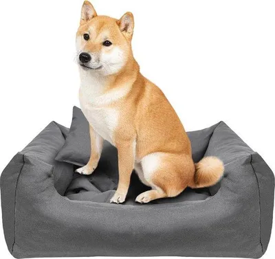 Produktbild von Hundekissen 65 x 55 cm, weich und bequem, ideal für kleine und mittelgroße Hunde, leicht zu reinigen und langlebig.