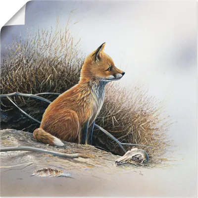 Produktbild von ARTland Poster Kleiner Fuchs Größe: 70x70 cm