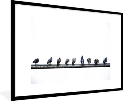 Produktbild von MuchoWow® Gerahmtes Poster Eine Reihe von Tauben, die auf einem Bleirohr sitzen 90x60 cm - Poster mit Schwarzem Bilderrahmen Wandposter Rahmen Foto Bilder - Wanddekoration - Fotos