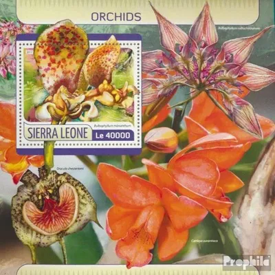 Produktbild von Briefmarken Sierra Leone 2017 Mi Block 1245 (kompl. Ausg.) postfrisch Orchideen
