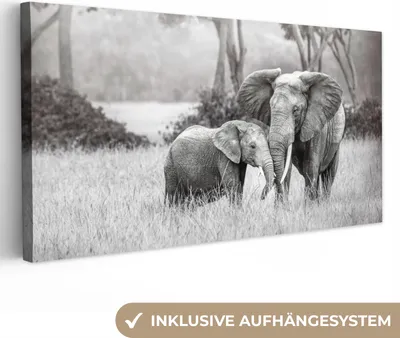 Obrázek produktu pro OneMillionCanvasses® - Obraz na plátně - Slon - Zvířata - Příroda - Černobílý, nástěnná malba, nástěnné dekorace obrazy obývací pokoj, 40x20cm