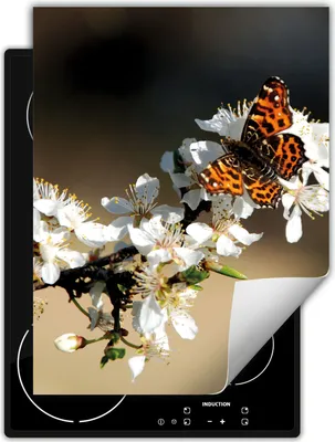 Produktbild von DarHaus Herdabdeckplatte Einteilig Küche Abdeckplatte für Glaskeramikkochfeld Abdeckung Induktionskochfeld Aufrollbare Matte 40x52 cm, Schmetterling - Blume