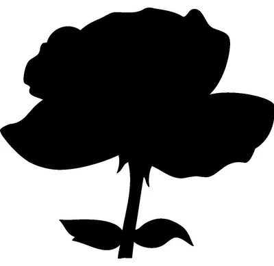 Image de Autocollant tableau noir – autocollant mural effaçable – ROSE NOIRE – 70 x 70 cm