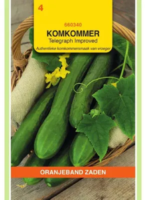 Produktbild von Oranjeband Gurke Improved Telegraph - 1 Packung Saatgut