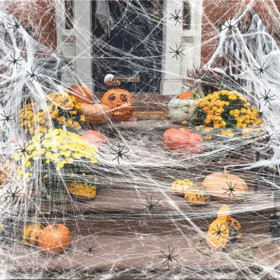 Halloween Spinnennetz Set, 100 g, 40 Kunstspinnen