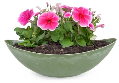 Produktbild von Große Vintage Outdoor Pflanzschale oval 39 cm oliv-grün