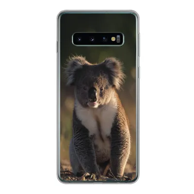 Produktbild von MuchoWow® Handyhülle Schutzhülle Hülle für Samsung Galaxy S10 Koala - Sonne - Tier - Kinder - Jungen - Mädchen Silikon Softcase Handy Hülle - Handytasche