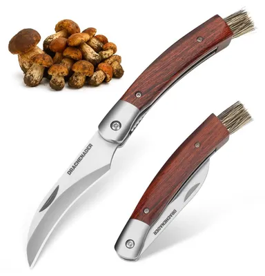 Produktbild von Pilzmesser Klappbar mit Pinsel Holzgriff 5Cr14MoV Stahlklinge 7,7 cm Liner Lock