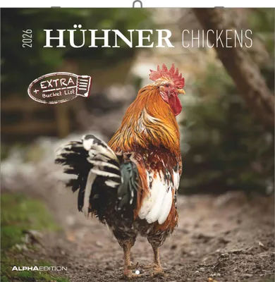 Produktbild von Alpha Edition - Hühner 2026 - Broschürenkalender 30×30 cm (30×60 cm geöffnet) mit Notizbereich, humorvoller Wandkalender mit 12 Hühner-Motiven, Tierkalender & Geschenkidee für Tierfreunde