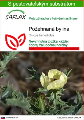 Obrázok produktu pre SAFLAX - požehnaná bylina - Cnicus benedictus - 50 Semená - S pestovateľským substrátom bez klíčkov