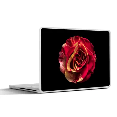Produktbild von MuchoWow® Laptop Aufkleber Sticker Cover Blume - Rose - Rot - Schwarz 31x22.5 cm - Laptop-Deko
