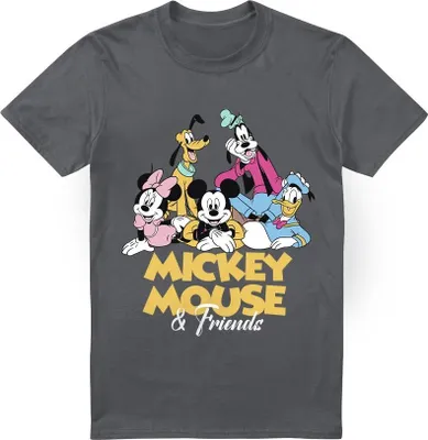 Produktbild von Disney - T-Shirt für Herren TV3422 (3XL) (Holzkohle)