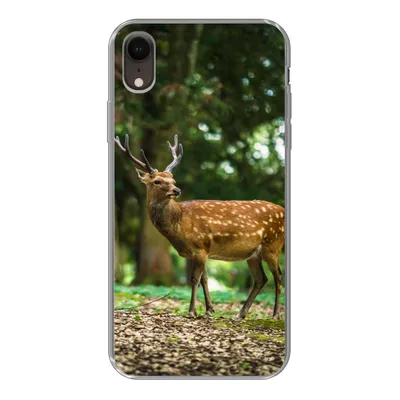Produktbild von MuchoWow® Handyhülle Schutzhülle Hülle für iPhone XR Rotwild - Wald - Tier Silikon Softcase Handy Hülle - Schutzdeckel